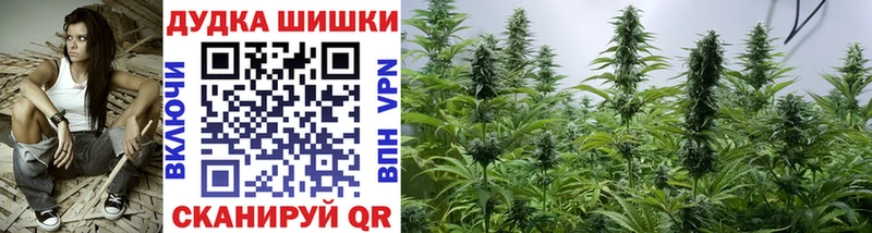 Купить наркотик Кашин А ПВП Амфетамин Конопля Кокаин Метамфетамин ГАШИШ Псилоцибиновые грибы