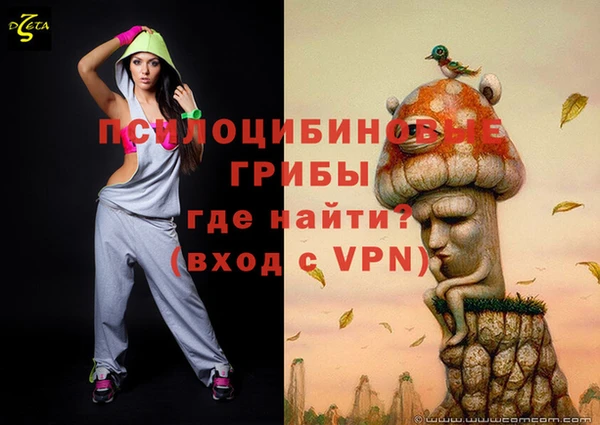 герыч Алзамай