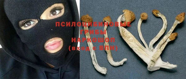 кристаллы Алексин